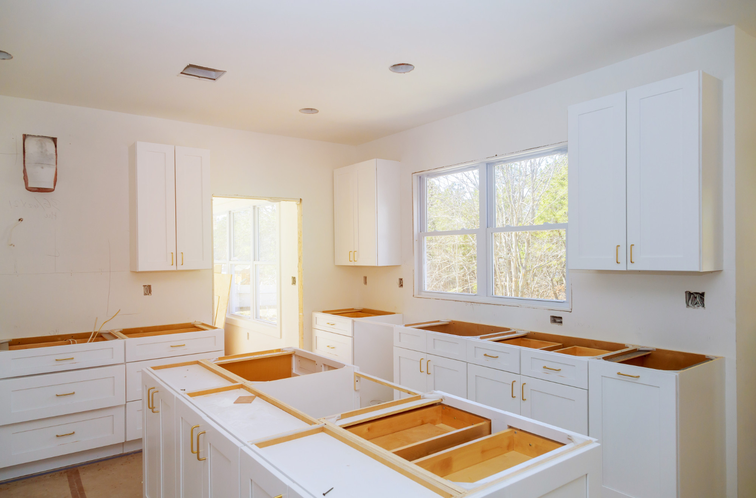 Whole House Remodel